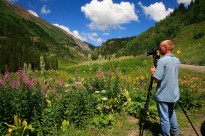 Wildflower Weekend - Ouray, CO: July 16 - 18