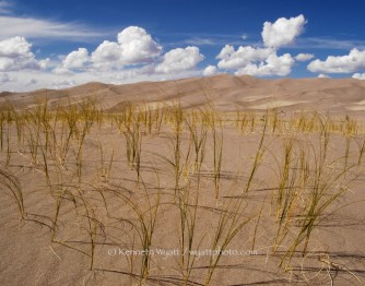sand dunes, sand, grass, clouds, Great Sand Dunes, Colorado