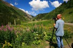Wildflower Weekend, Ouray, CO : July 18