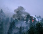 fire, Hayman Fire, Colorado, wildland fire, Kenneth Wyatt