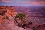 Moab, Utah, Canyonlands, desert, sunset, tree, photographer,